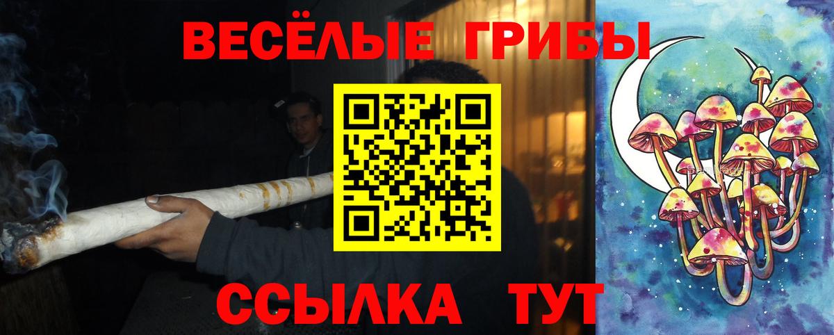 Псилоцибиновые грибы GOLDEN TEACHER  Галлюциногенные грибы мухоморы  Каменка  Вход с VPN 